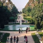 المواطنون مدعوون لاقتراح أسماء لهم … حديقة التجارب بالحامة تتدعم بميلاد 3 أشبال