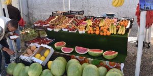 بمناسبة شهر رمضان… فتح “سوق للرحمة” بمقر غرفة الفلاحة وسط برج بوعريريج