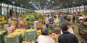 قسنطينة… تجار الجملة للخضر والفواكه يشتكون الفوضى