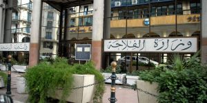 وزارة الفلاحة ترد على تقارير روسية… هذه حقيقة استيراد اللحوم الحمراء والألبان من روسيا