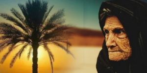 النخلة الشامخة