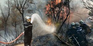 حماية للغابات بوهران.. أربع فرق متنقلــة لمكافحــة الحرائق