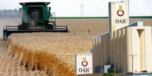 رئيس الدولة يعين عبد الرحمان بوشهدة مديرا عاما لديوان الحبوب