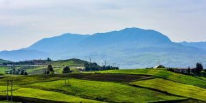 مليانة.. المدينة التي جمعت الجمال الطبيعي بالمعالم التاريخية