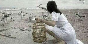 يا نسمة الروح