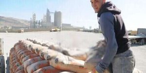 الشروع في تصدير 12 ألف طن من الإسمنت إلى بريطانيا من سكيكدة