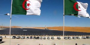 من بين 5 مجمعات شاركت في المناقصة… قبول عرض مجمع جزائري لإنجاز خمس محطات شمسية