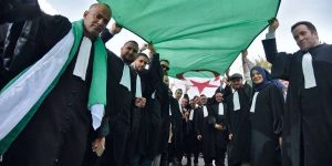 وزارة التعليم العالي تطلق مسابقة وطنية “محامي المستقبل”