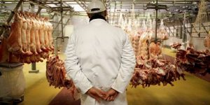 الجزائر تطلق استراتيجية شاملة لتنمية قطاع اللحوم الحمراء وتحقيق الاكتفاء الذاتي