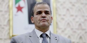 “أين وعودكم بتوفير لحوم بأسعار معقولة خلال رمضان؟”…  سوف أحيي مشروع نقل لحوم الجنوب إلى الشمال من جديد