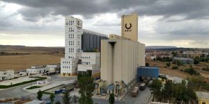 الديوان المهني للحبوب يكشف تفاصيل رفض دخول شحنة قمح قادمة من “كندا” 