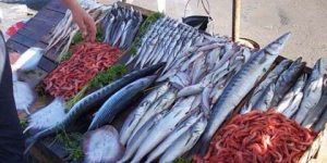 اعتراف وزارة الصيد بعدم تكافؤ أسعار المنتجات البحرية خاصة السردين.. الجزائريون يتناولون أقل من 4.7 كلغ من الأسماك سنويا
