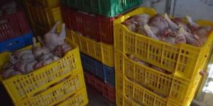 حجز 122.2 كلغ من اللحوم البيضاء والحمراء غير صالحة للاستهلاك بغليزان