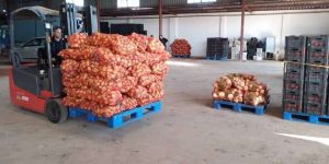 إخراج كميات معتبرة من البطاطا عبر عدة ولايات لضبط السوق