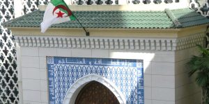 مناصب عمل جديدة وتقليص الواردات.. هذا ما سيقدمه منجم الزنك والرصاص بوادي أميزور للاقتصاد الوطني