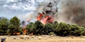 فريطاس: اعتماد نظرة استشرافية لمكافحة حرائق الغابات خاصة مع موجة الحر التي تشهدها البلاد