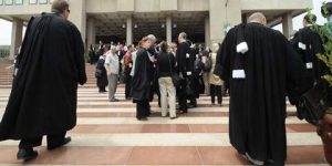 وزير العدل: الالتحاق بمهنة المحاماة يتم عبر اجتياز مسابقة