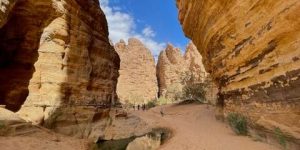 بن تامر: “خريطة طريق لجلب 3 ملايين سائح في آفاق2024”