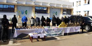 الإطاحة بجماعة مختصة في التهريب الدولي للمخدرات بتيبازة