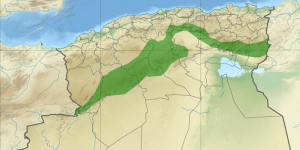 الحكومة تقيم عملية إعادة تأهيل وتوسيع السد الأخضر