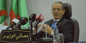 هني: برنامج لغرس مليون نخلة ابتداء من الموسم الفلاحي 2023-2024