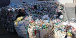 دفتر خاص بالمستثمرين الشباب لجمع البلاستيك والكرطون بعنابة