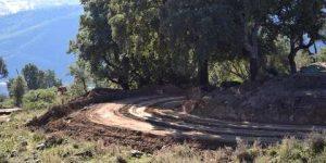 تيارت: 7 مشاريع غابية تدخل حيز الإستغلال