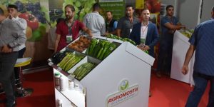 خبراء في المجال الفلاحي يؤكدون بأن مخرجات مجلس الوزراء الأخير ستسهم في رفع مردودية القطاع.. ” قرارات ستخلق آفاق جديدة للتصدير “