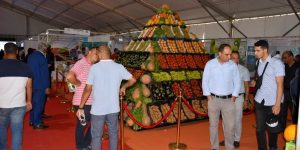 الإحصاء العام للفلاحة 2023.. فرصة لتوقع تذبذب أسعار المواد الغذائية