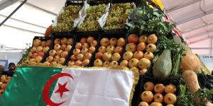 الجزائر تتجه نحو السيادة الغذائية بتقليل الاعتماد على الواردات وفتح آفاق جديدة للاستثمار والتنمية المستدامة