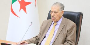 القمة العربية ستزيد من ثقل الجزائر في العالم العربي