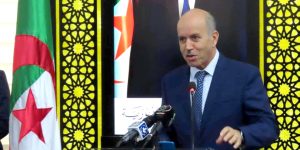 سايحي يدعو إلى مضاعفة الجهود لتحسين التكفل بالصحة العقلية