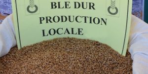  مهنيون يؤكدون: قرار الرئيس تبون بإنشاء ديوان شراء منتجات يدعم جهود الدولة الرامية إلى تحقيق الأمن الغذائي