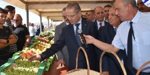 فلاحة: ضرورة تبسيط الإجراءات و تقليص آجال معالجة ملفات الاستثمار