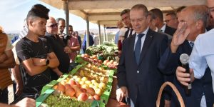 وزير الفلاحة: لجان لمراقبة أسعار البيض بداية من الأسبوع المقبل