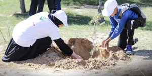 المجتمع المدني يكثف من حملات التوعية لمكافحة حرائق الغابات