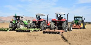 قسنطينة.. تخصيص 91 ألف هكتار لزراعة الحبوب