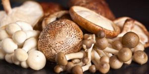 صحتنا في غذائنا.. لمن لا يعرف فوائد الفطر