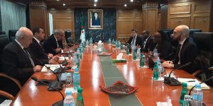 عرقاب يفتح ملف تطوير البتروكيماويات والطاقات الجديدة بالجزائر