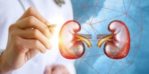 إطلاق حملة وطنية للتحسيس بالتبرع بالأعضاء السنة القادمة