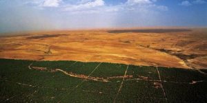 بداية من شهر ديسمبر القادم.. فرطاس: تخصيص 10 ملايير دج للانطلاق الرسمي في تأهيل السد الأخضر