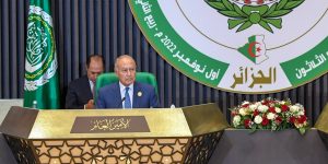 أبو الغيط: الجزائر ستكون خير ممثل ومدافع عن القضايا العربية في مجلس الأمن