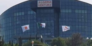 في الاقتصاد الأخضر.. مسرع “ألجيريا فانتور” يطلق برنامج تسريع موجه للمؤسسات الناشئة اليوم