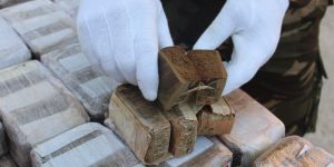 بشار: حجز أزيد من 12 كلغ من الكيف المعالج وتوقيف شخصين