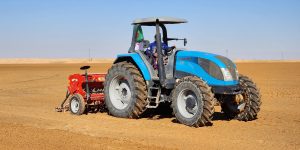 بسكرة.. برمجة زراعة أكثر من 33 ألف هكتار من أنواع الحبوب