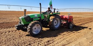 توسيع المساحات المخصصة لإنتاج الحبوب بالمسيلة