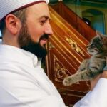 مسجد يستقبل القطط في ليالي الشتاء