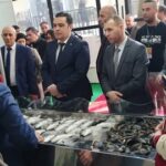 صلواتشي: آلية جديدة لضبط أسعار الأسماك