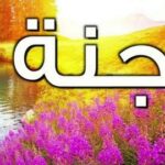 سؤال وجواب.. هل يلتقي الزوج بزوجته وأبنائه في الجنة ؟