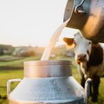 سنريهم آياتنا في الآفاق: بين الدم والفرث …  لبنا خالصا